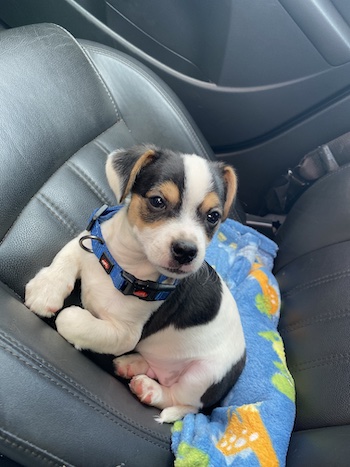 Eu no carro do papai